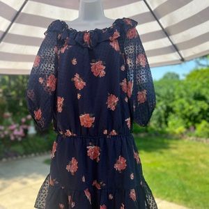 Joie
Luvenia Floral-Print Silk Dress.Dark navy with pink rose pattern.Size small